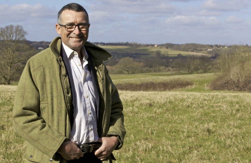 Bernard standing in a field